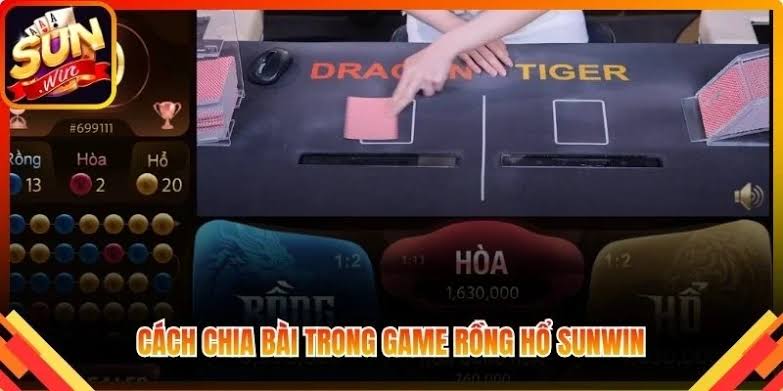 Tác hại của việc đặt cược theo cảm tính