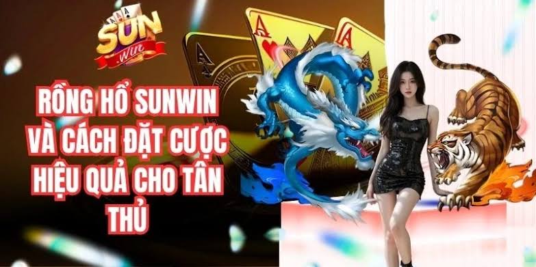 Mẹo Đặt Cược Rồng Hổ Sunwin