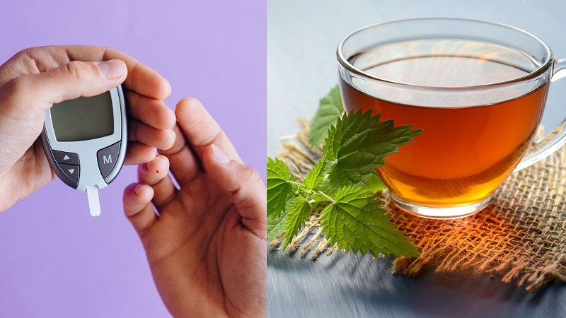 Cơ chế tác động của trà đối với đường huyết và sức khỏe chuyển hóa